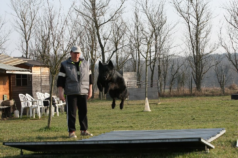 Duncan du Jardin du Malézy